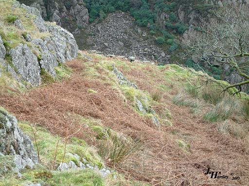 Dinas Emrys.jpg